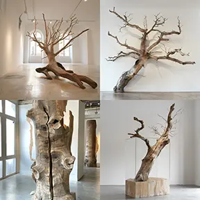 Giuseppe Penone