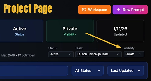 Project privacy settings showing visibility options